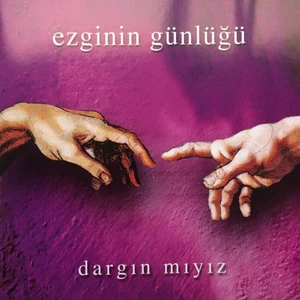Ezginin Günlügü- Dargın Mıyız- Plak