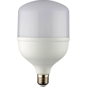 50W LED Ampül
