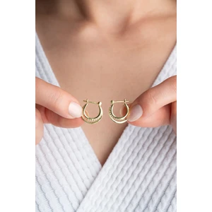 Silvano Jewelry 925 Ayar Gümüş Gold Çift Halka Küpe