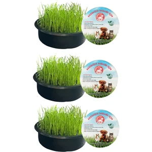 Sonrisa Pets Organik Kedi Çimi 3'lü ( FİLELİ) SÜRPRİZ OYUNCAK HEDİYELİ