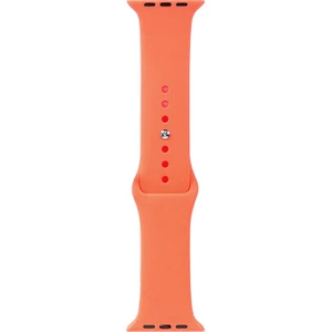 Apple Watch 7 45MM Uyumlu Band Serisi Klasik Kordon Silikon Strap Kayış, Pawpaw