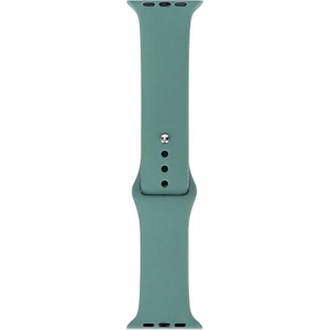 Apple Watch 7 45MM Uyumlu Band Serisi Klasik Kordon Silikon Strap Kayış, Cactus