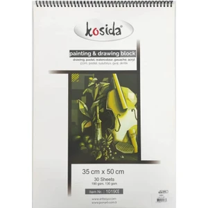Kosida Painting & Drawing Blok 35X50 cm 190 gr 30 Yp