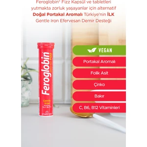 Fızz Demir (Gentle Iron), C Vitamini,Folik Asit, Çinko,Bakır  İçeren 20 Efervesan Tablet.