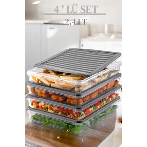 NY Home 4'lü Set Freshbox Mikrodalga ve Difrize Uygun Saklama Kabı Gri