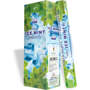 Darshan Ice Mint Tütsü 1 Box (6 Paket)