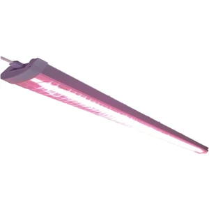 Rowlight Bitki Büyütme Ledi Quantum Seri