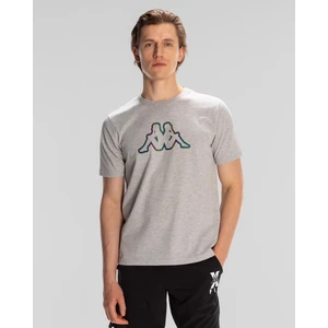 Logo Aura Erkek Gri Regular Fit Tişört