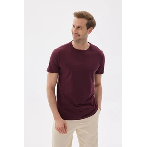 Erkek Bisiklet Yaka Slim Fit Basic Tişört Bordo