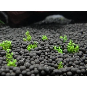 Badem Akvaryum Ithal Akvaryum Bitki Kumu Gübre Katkılı Yuvarlak Kum Siyah 1 kg