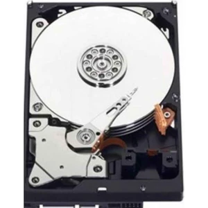 1 Tb Seagate-Wd 3.5 Inç 7/24 7200RPM Kurumsal Güvenlik Harddiski