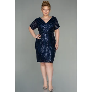 Pul Payetli Büyük Beden Abiye ABK686