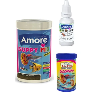 Lepistes Moli Melek Tropikal Akvaryum Balık Yemi Amore Guppy Granules 250+100 ml Lotus ve Vitamini