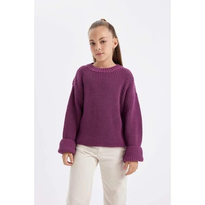 Kız Çocuk Mor Standart Fit Bisiklet Yaka Basic Düz Triko Kazak C6909A824AU
