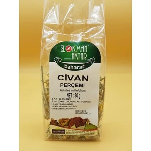 Lokman Aktar Civan Perçemi