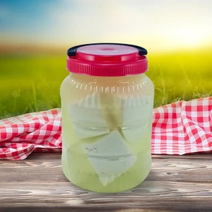 Yayla Gurme Tam Yağlı Köy Tipi Peynir 1 kg