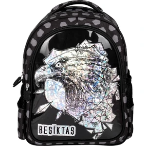 2 Bölmeli Kartal Baskılı Okul Sırt Çantası