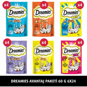 Karışık Ödül Maması Paketi 6X24