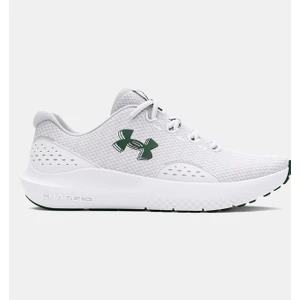 Under Armour Kadın Ua Charged Surge 4 Koşu Ayakkabısı 3027007-105