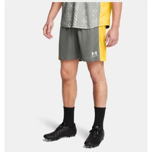 Under Armour Erkek Ua Challenger Örme Şort 1379507-709