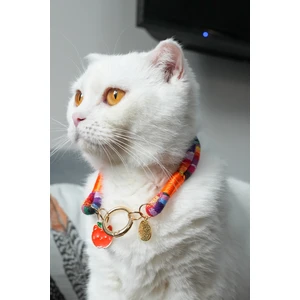 Charmlı Kedi Köpek Tasması Kolyesi - El Yapımı Petdora - Kararmaz Çelik - Elma Charm