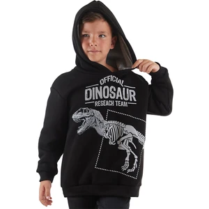 Dino Research Erkek Çocuk Sweatshirt
