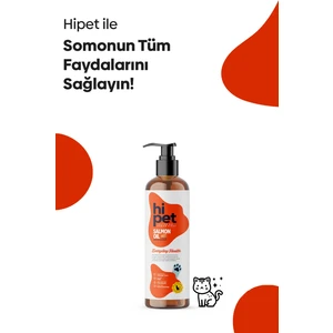 Kediler Için Somon Yağı