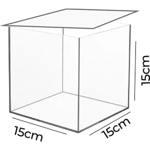 Trend Pleksi Şeffaf Kapaklı Çok Amaçlı Saklama Kutusu (15CM x 15CM x 15CM)