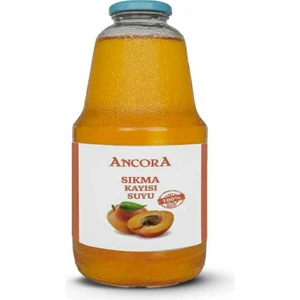 Sıkma Kayısı Suyu 1 Lt