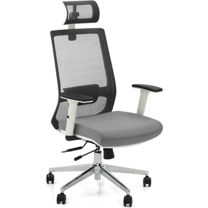 Quadro Ortopedık Çalışma Koltuğu