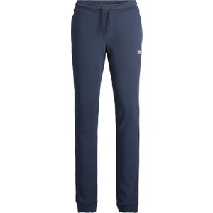 Jack & Jones Jpstwıll Ice Sweat Pants Mor Erkek Çocuk Eşofman Altı