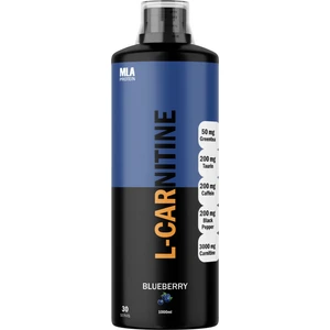 Mla Protein L-Carnitine 3000 mg (1000 ml) Yaban Mersini Aromalı