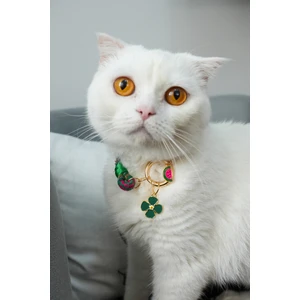 Charmlı Kedi Köpek Tasması Kolyesi - El Yapımı Petdora - Kararmaz Çelik - Yonca Charm