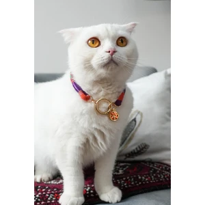 Charmlı Kedi Köpek Tasması Kolyesi - El Yapımı Petdora - Kararmaz Çelik - Salyangoz Charm