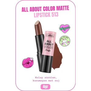 All About Color Matte Lipstick Mat Görünümlü Ruj 513 Hot Cocoa - Kahverengi
