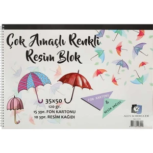 Alex Schoeller Resim Defteri Spiralli Çok Amaçlı 15 YP 35x50 120 GR ALX-0299