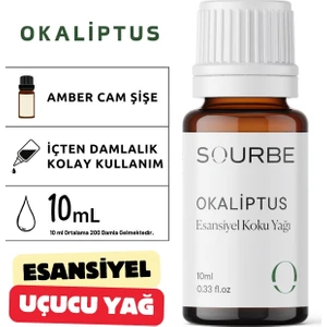 Okaliptus Esansiyel Uçucu Koku Yağı Buhurdanlık Yağı Ortam Oda Kokusu Difüzör Esans Hobi Esansı 10ML