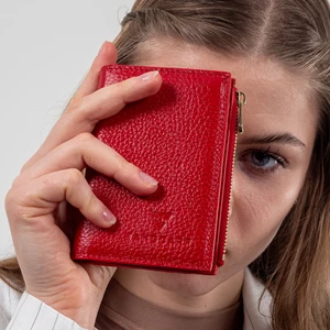 Deri  Bölmeli Fermuarlı Kadın Cüzdan Kırmızı