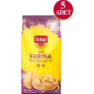Farina Çok Amaçlı Glutensiz Un Karışımı 1000 gr (5 Adet)