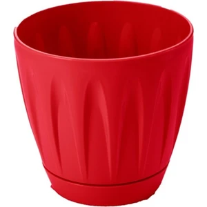 MF Botanik Papatya Saksı 1.5 Litre Kırmızı | Dekoratif Tabaklı Saksı 1,5 Lt