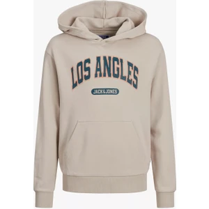 Jack & Jones Essentials Jjebradley Kapüşonlu Regular Fit Sweat Erkek Sweat 12270060