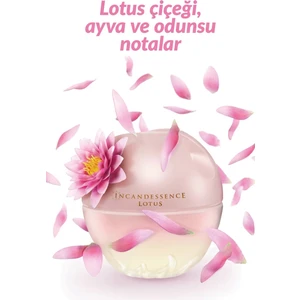 Incandessence Lotus Kadın Parfüm EDP 50 ml + İpli Araç Kokusu