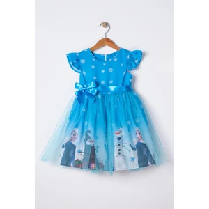 Furya Kids Mavi Elsa Karlar Kraliçesi Kız Çocuk Doğum Günü ve Parti Elbisesi