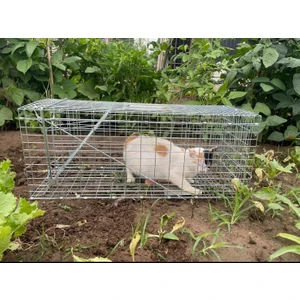 Zararsız Kedi Canlı Yakalama Kafesi Sansar Yakalama Kedi Yakalama Kapanı Tavşan Baksı Kedi Kapanı