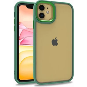 Apple iPhone 11 Uyumlu Inci Kılıf Kenarı Silikon Arkası Sert P.c Zore Flora Kapak