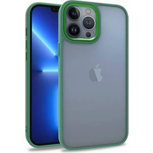 Apple iPhone 13 Pro Max Uyumlu Inci Kılıf Kenarı Silikon Arkası Sert P.c Zore Flora Kapak