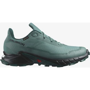 Alphacross 5 Gore-Tex Erkek Koşu Ayakkabısı - Yeşil