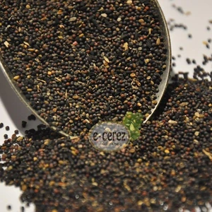 Siyah Hardal Tohumu 250 Gr