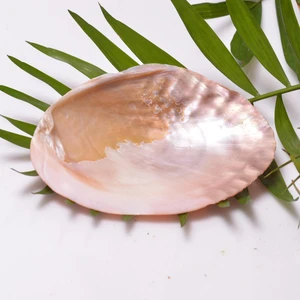 Sedef Taşı Tabak - Deniz Kabuğu - 13 cm