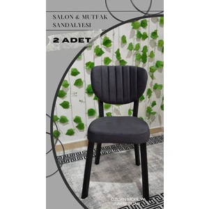 Özcan Mobilya Aksesuar 2 Adet Metal Elma Mutfak Salon Sandalyesi Kafe Restoran Sandalyesi Metal Demonte Sandalye
